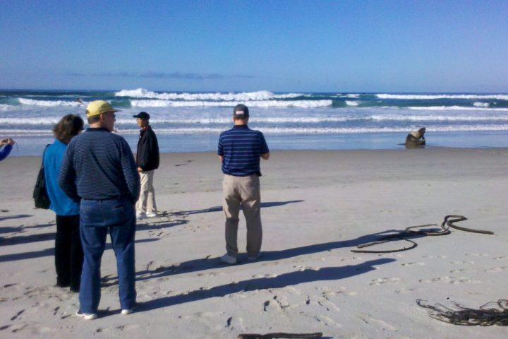 a group of people walking on a beach