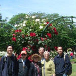 a group of people standing in a park