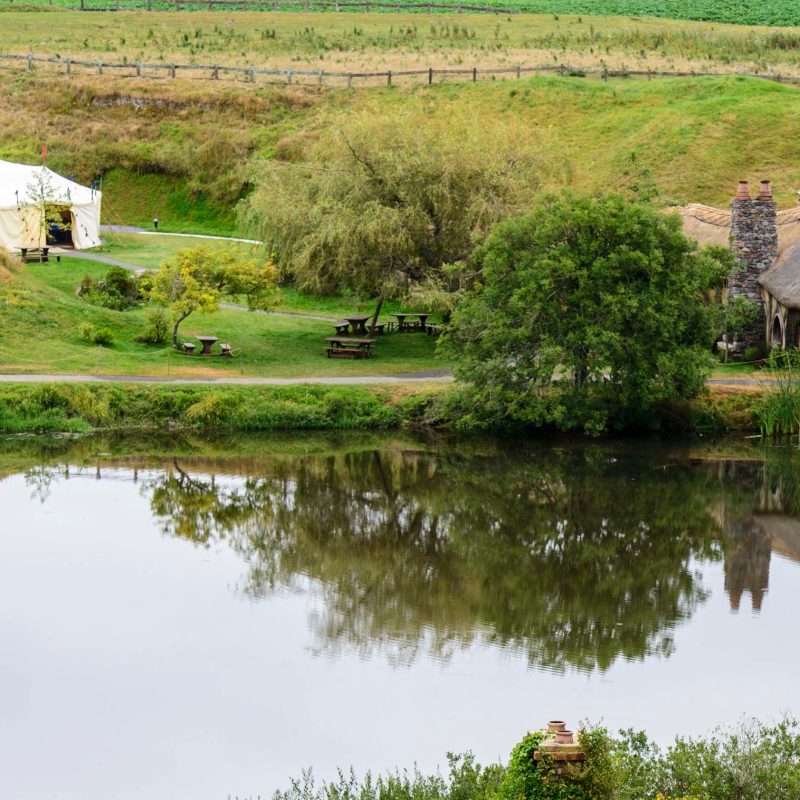a large body of water surrounded by trees