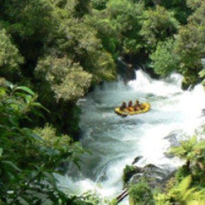 a river running through a forest