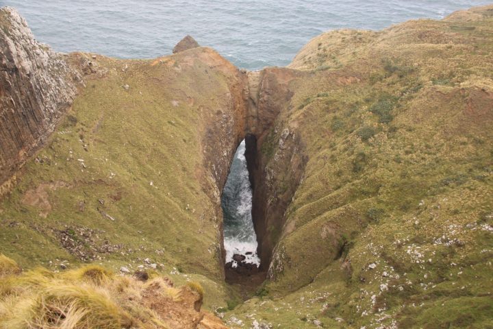 a close up of a rock next to a body of water