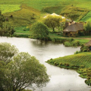 a body of water surrounded by trees