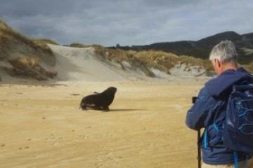 a person standing on top of a sandy beach