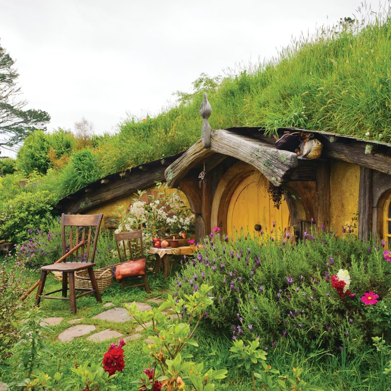 a close up of a flower garden in front of a house